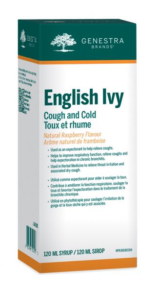 English Ivy