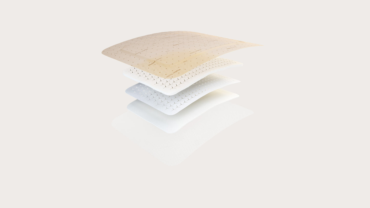 Mepilex Border Flex