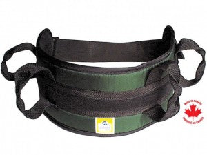 Padded Transfer Belt